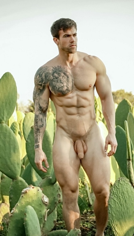 David-Ortega-0113.jpeg