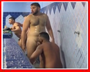Video 7004