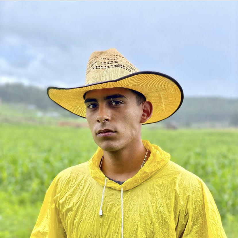 David R Morkesho