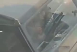 Boycams