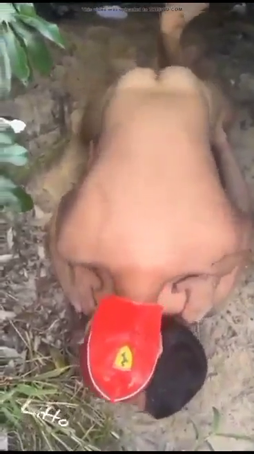 Alpha Papi Litto